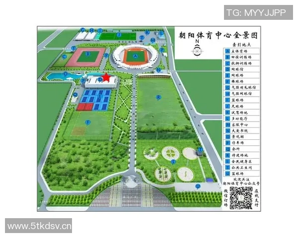 杭州网球队的拼搏历程与荣耀时刻全景回顾