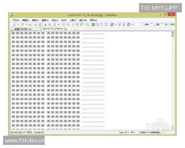 武汉极限运动队灵活性表现的数据分析与探讨